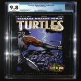 Teenage Mutant Ninja Turtles #60 - Thumbnail 0