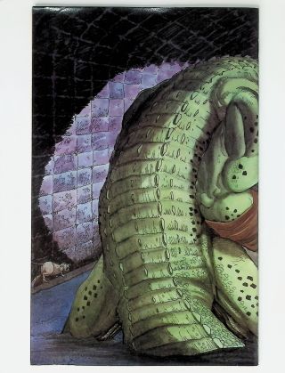 Tales of the Teenage Mutant Ninja Turtles  #6 - Image 1