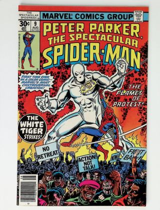 Peter Parker: The Spectacular Spider-Man  #9 - Image 0