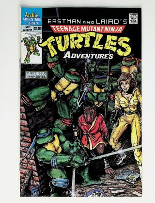 Teenage Mutant Ninja Turtles Adventures  #1 - Image 0