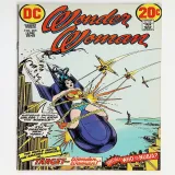 Wonder Woman  #205 - Thumbnail 0