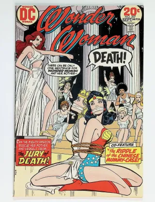 Wonder Woman  #207 - Image 0