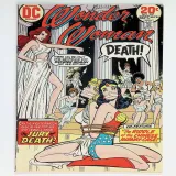 Wonder Woman  #207 - Thumbnail 0