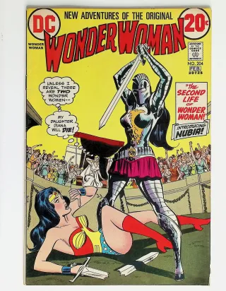 Wonder Woman  #204 - Image 0