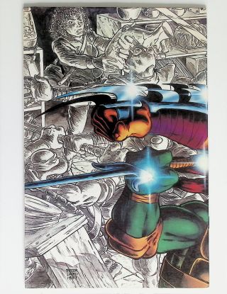 Teenage Mutant Ninja Turtles  #10 - Image 1