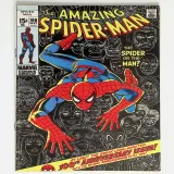 Amazing Spider-Man  #100 - Thumbnail 0