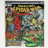 Amazing Spider-Man  #124 - Thumbnail 0