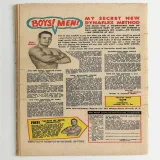 Amazing Spider-Man  #33 - Thumbnail 1