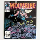 Wolverine  #1 - Thumbnail 0