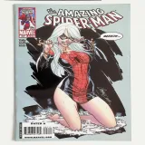 Amazing Spider-Man #607 - Thumbnail 0