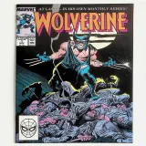 Wolverine #1 - Thumbnail 0