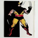 Wolverine #1 - Thumbnail 1