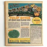 Jungle Comics #106 - Thumbnail 1