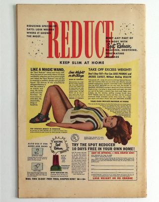 Sheena, Queen of the Jungle #13 - Image 1