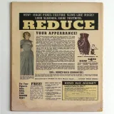 Sheena, Queen of the Jungle #12 - Thumbnail 1