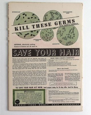 Sheena, Queen of the Jungle #6 - Image 1