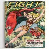 Fight Comics #59 - Thumbnail 0
