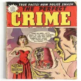 Perfect Crime #31 - Thumbnail 0