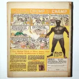 Jungle Comics #93 - Thumbnail 1