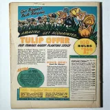 Jungle Comics #106 - Thumbnail 1