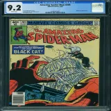 Amazing Spider-Man #205 (Newsstand) - Thumbnail 0
