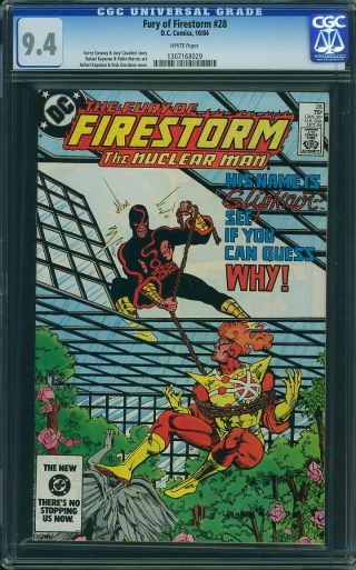 Fury of Firestorm #28 - Image 0