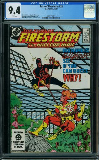 Fury of Firestorm #28 - Image 0