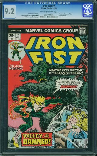 Iron Fist #2 - Image 0